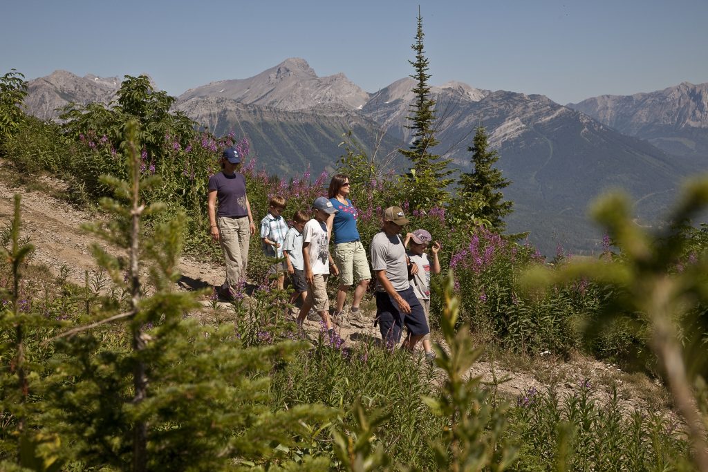 Group of people on side of mountain in Fernie.